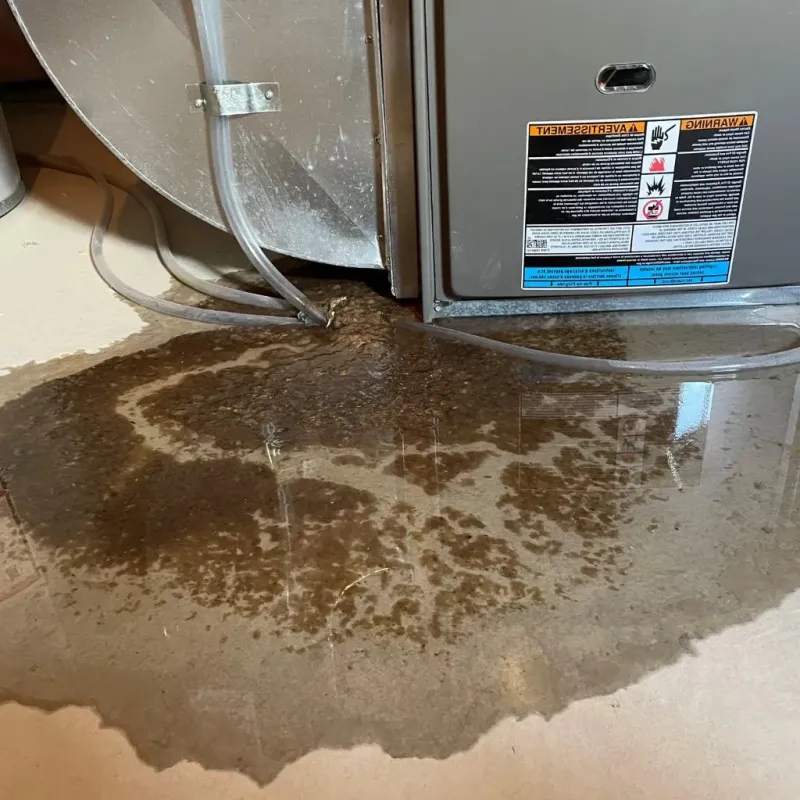 Pipe Burst and Leak Restoration in England, AR