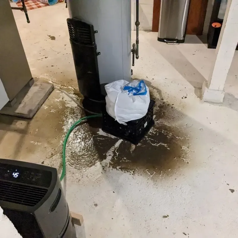 Sewage Backup Cleanup Service in England, AR